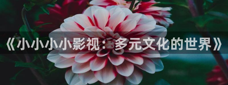 琪琪影院免费看