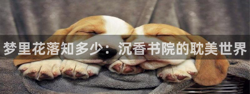 琪琪布影院飘花影院