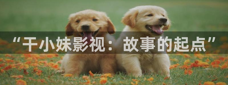 琪琪影院伦理片