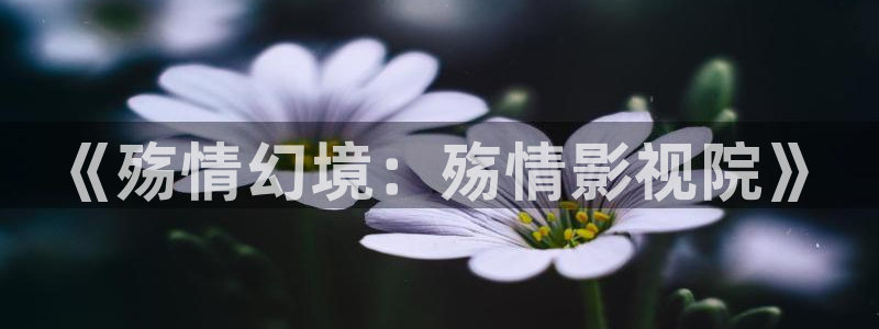 神马琪琪电影院