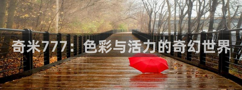 琪琪神马影院