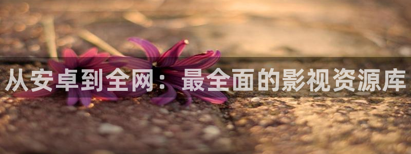 琪琪布电影网