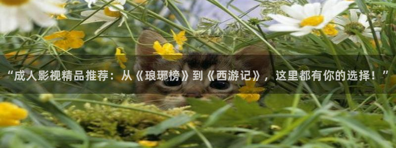 琪琪影院韩国电影